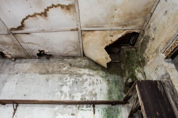 Cost of Water Damage Service in Chula Vista