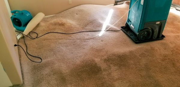Cost of Flood Damage Cleanup in Chula Vista
