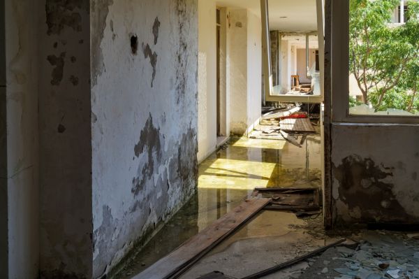 Cost of Water Removal Service in Chula Vista