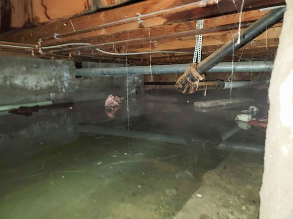 Water Mitigation Service in Chula Vista