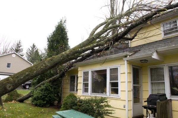Hurricane Damage Repair in Chula Vista