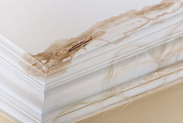 Water Damage Recovery in Chula Vista